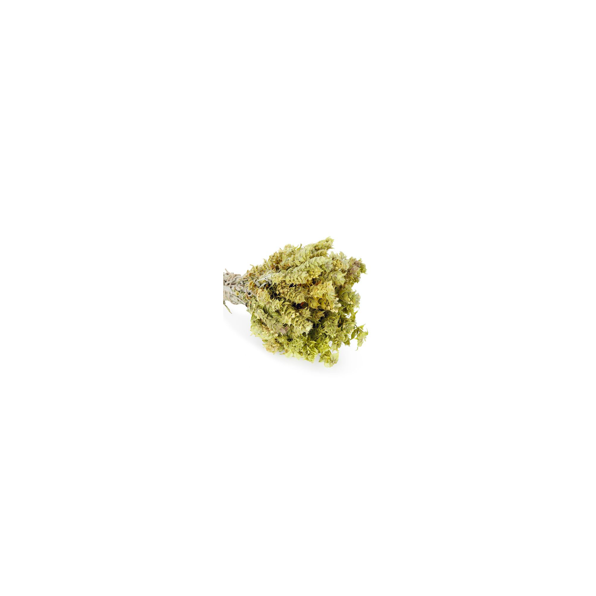 Sideritis or greek mountain tea 40g AVRAMOGLOU