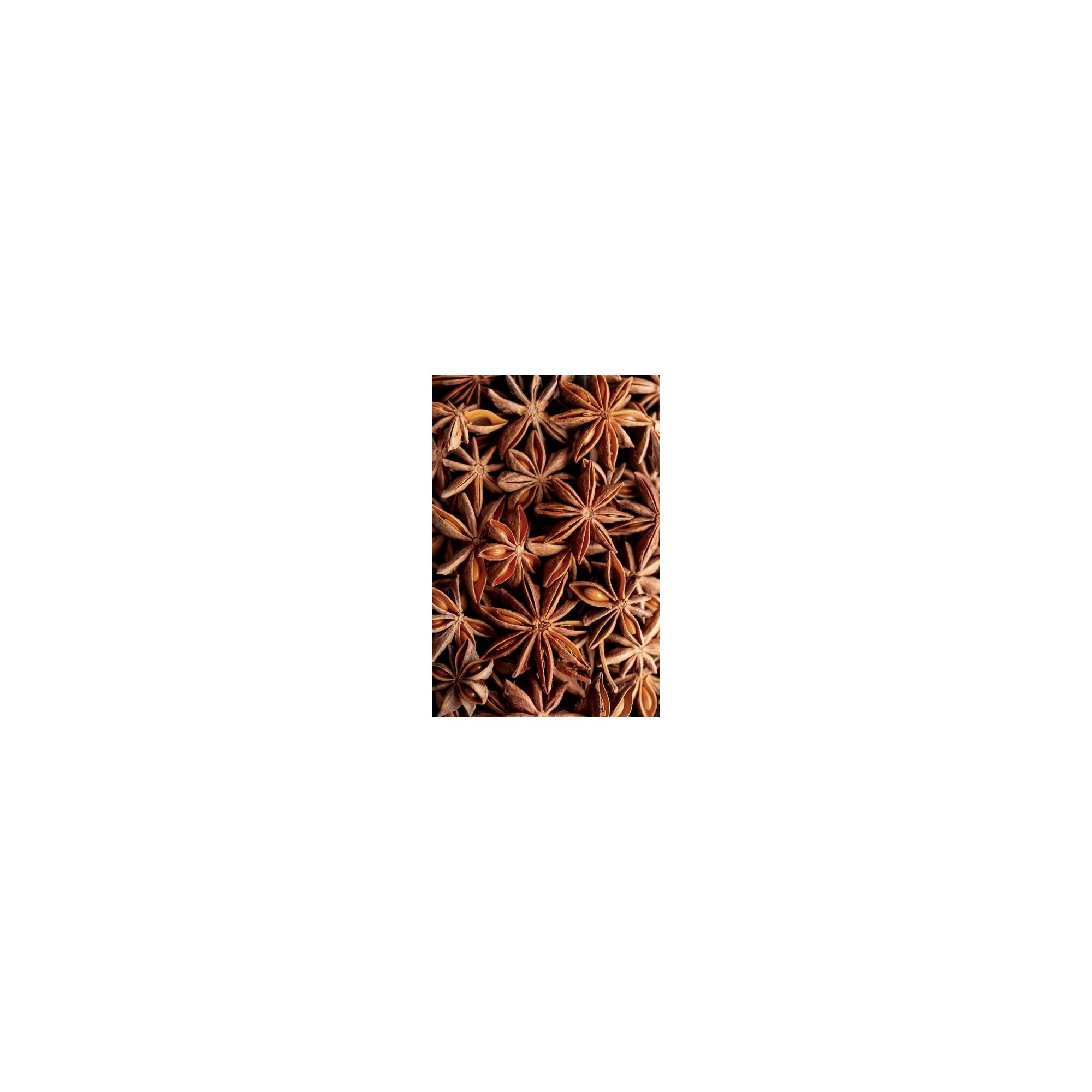 Star anise 14g AVRAMOGLOU, spices