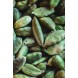 Green Cardamom 10g AVRAMOGLOU