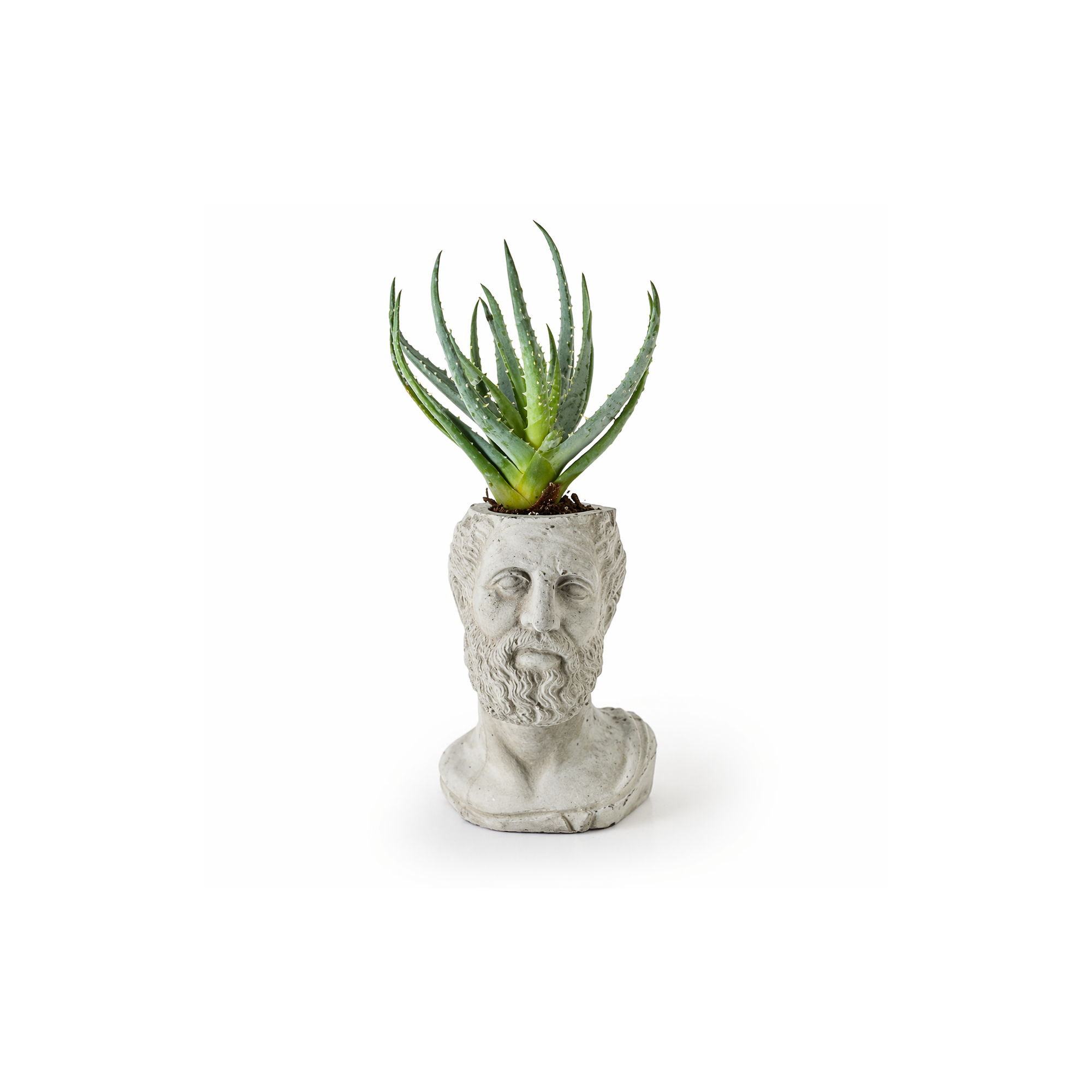 Statuette HIPPOCRATES grey - pencil holder / candle holder / plant pot, A FUTURE PERFECT, front view
