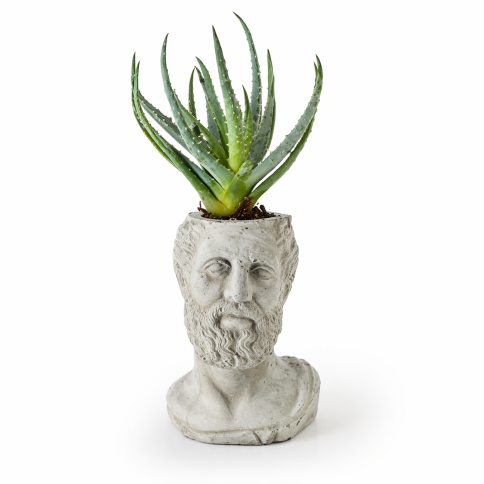 Statuette HIPPOCRATES grey - pencil holder / candle holder / plant pot, A FUTURE PERFECT, front view