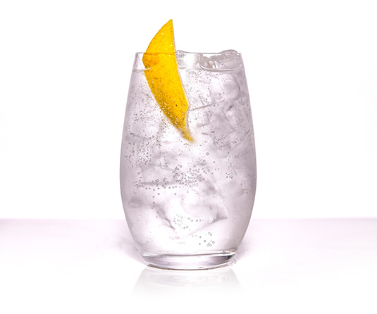 Perfect Gin & Tonic