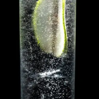 Ultimate Vodka Tonic