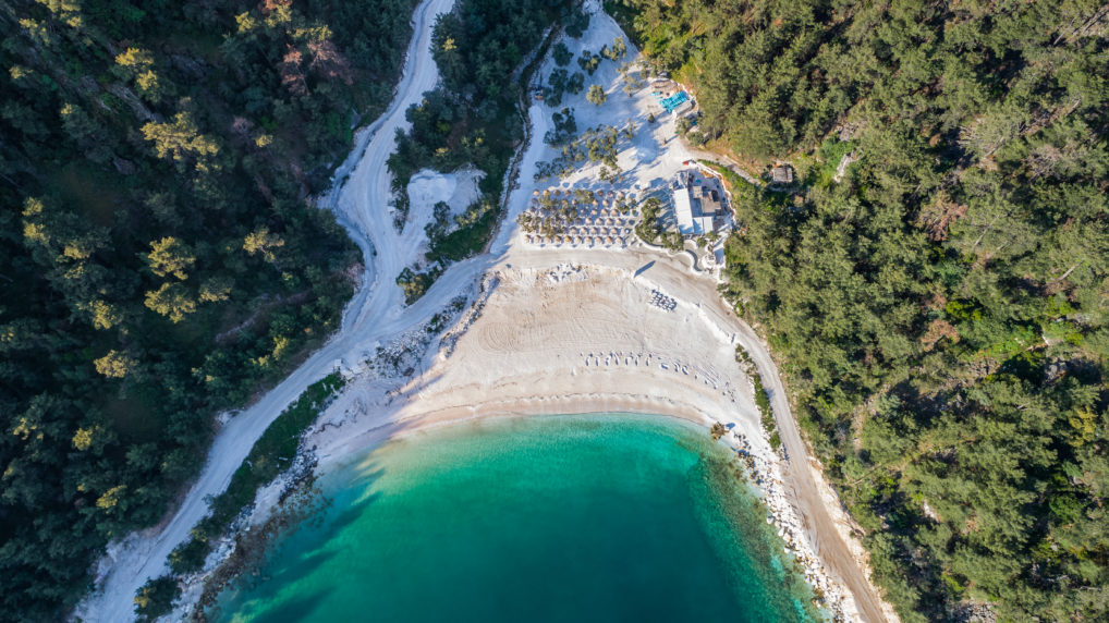 Thassos, vue aérienne d'une plage et de la forêt