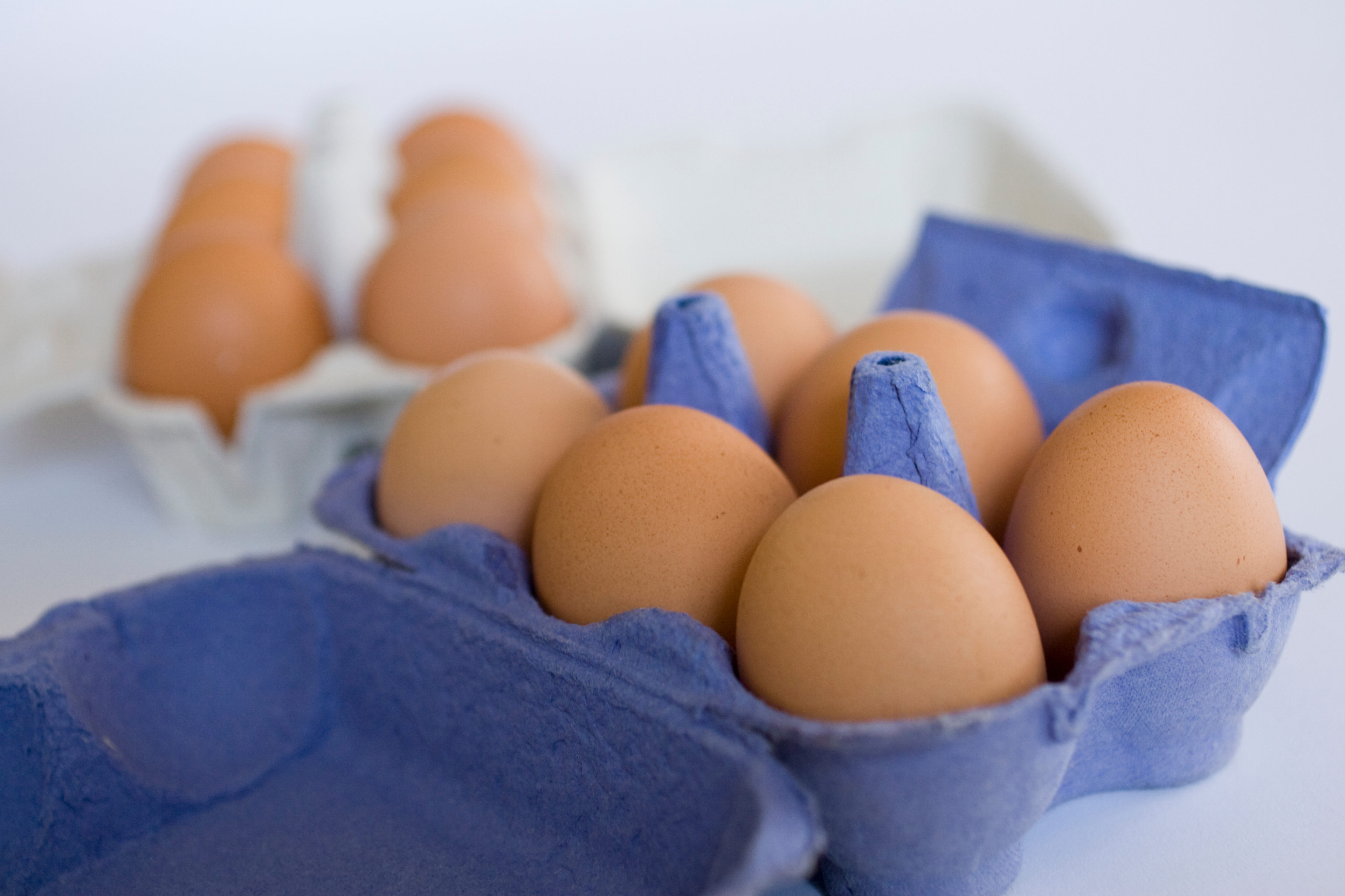 Deux boîtes en carton avec des oeufs